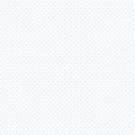 DAPHNE GREY LIGHT 25X50